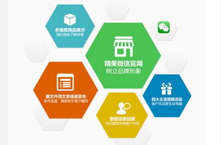 圈圈網(wǎng)絡(luò)公司微伙伴產(chǎn)品招商正火爆進(jìn)行中，開(kāi)啟網(wǎng)絡(luò)技術(shù)開(kāi)發(fā)新篇章