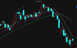 焦點(diǎn)科技(002315)最新走勢(shì)分析與網(wǎng)絡(luò)技術(shù)開(kāi)發(fā)策略